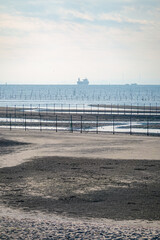 Fototapeta premium 三番瀬の干潟沖を行き交う船（千葉県ふなばし三番瀬海浜公園）