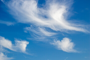 Naklejka na ściany i meble 솜사탕 같은 구름이 펼쳐진 아름다운 하늘 