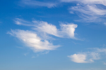 Naklejka na ściany i meble 파란 하늘과 함께 아름답게 펼쳐진 아름다운 흰 구름