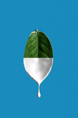 The levitating leaf of the plant is half painted white. Paint dripping down. The concept of...