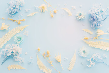 Fototapeta na wymiar Top view image of white and blue dry flowers over pastel background .Flat lay