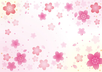 Fototapeta na wymiar 満開の桜吹雪