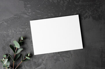 Blank invntation or greeting card mockup with fresh eucalyptus twig on dark background, card with...