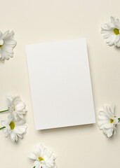 Obraz premium Blank greeting or invitation card mockup with white daisy flowers