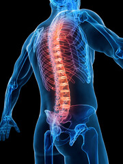 3D Rendered Medical Illustration of a man's spine