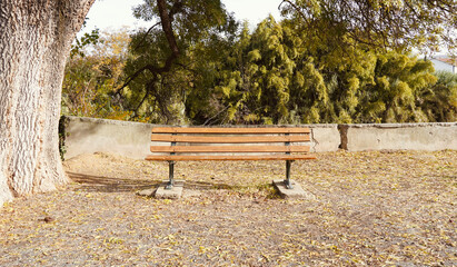Wooden bench in the middle of nature. Autumn landscape with space for text. Autumn forest...