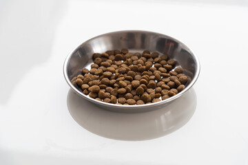 Cat food and water in metallic bowls