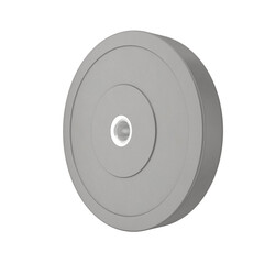 Bumper Weight Plate