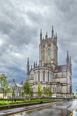 Fototapeta na wymiar St Mary's Cathedral, Kilkenny, Ireland