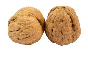 noix en gros plan isolé sur un fond blanc