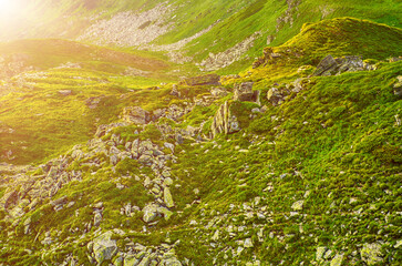 Carpathian mountain landscape