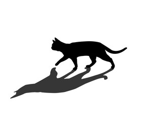 Shadowy walking cat vector