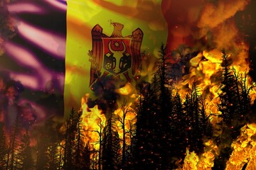 Big forest fire fight concept, natural disaster - flaming fire in the trees on Moldova flag background - 3D illustration of nature