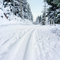  Snowy trees on a winter mountain road coverd by thick snow layer used as skiing slope during...