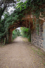 Puente de piedra con enredaderas de hojas verdes abrazandolo por toda la superficie por el camino de tierra de la ruta por la montaña