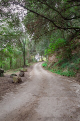 Camino de tierra del sendero de la monta&ntilde;a de Catalu&ntilde;a para ver las cascadas del fr&iacute;o agua con un cielo nublado en un f&iacute;o d&iacute;a de Noviembre.