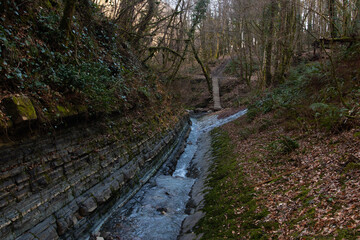 River stream waterfall in forest landscape