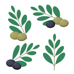 Vector illustration of olives and olive leaves.