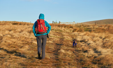 A hiker and their dog on The Street below the summit of Swineside law on a sunny winters morning...
