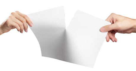 Female and male hands tearing a sheet of white paper in half, cut out
