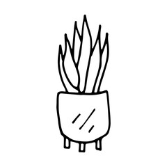 Houseplant in pot doodle style vector illustration isolated on white