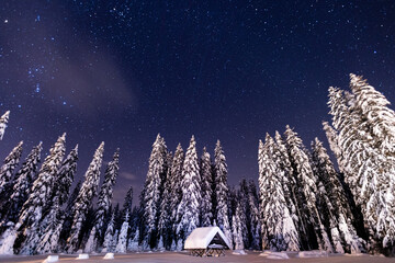 Winter nightscape at Pokljuka