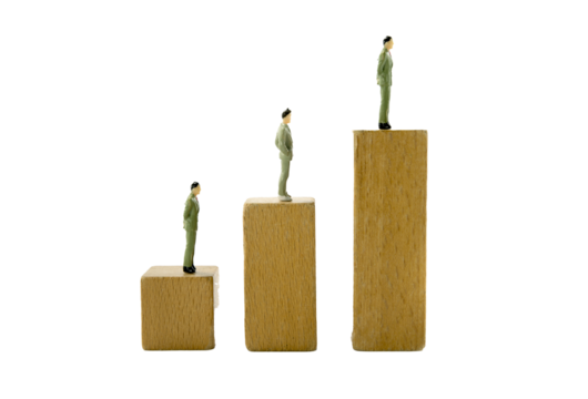 bussiness people going for career