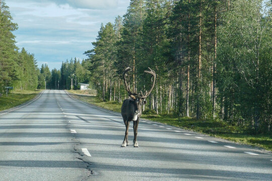 on the road
