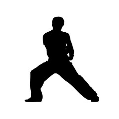 silhouette of a kungfu martial arts moves with transparent background