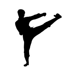 silhouette of a kungfu martial arts moves with transparent background