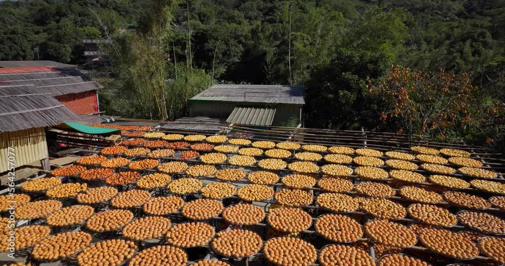 Wall mural Dry Persimmon fruit production under sunshine in factory