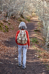 Woman walking in the woods. Healthy lifestyle. Natural environment