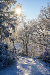 Fototapete bei efototapeten.de bestellen   