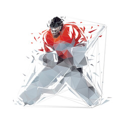 Ice hockey goalkeeper, hockey goalie, low polygonal isolated vector illustration, geometric drawing from triangles. Winter team sport athlete © michalsanca