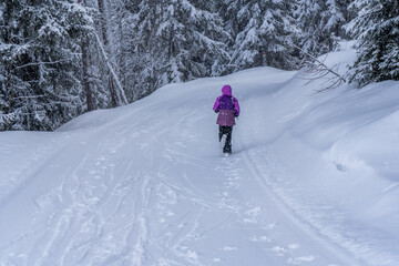 Fototapeta na wymiar A girl in a purple ski suit runs away in the winter snowy forest. High quality photo
