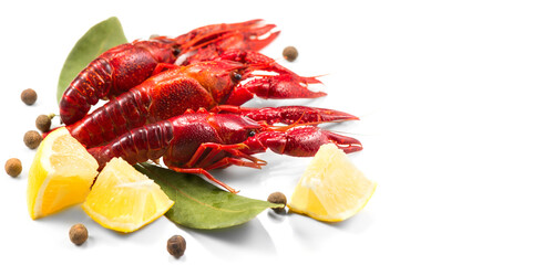 Crayfish, Crawfish closeup. Red boiled crayfish with herbs and lemon isolated on white background. Crawfishes. Fresh Lobster closeup. Border