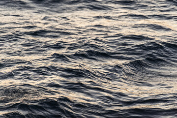 imagen de las formas efímeras que genera el mar con sus olas