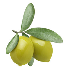 Delicious green olives with leaves cut out