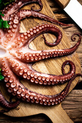Beautiful octopus on a cutting board. 