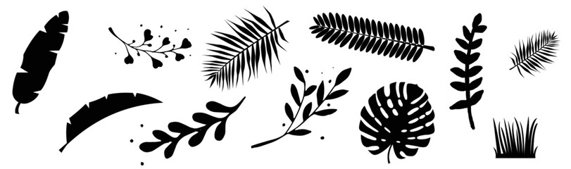 Set vector silhouettes tropical leaves. Monochrome jungle exotic leaf philodendron, areca palm, royal fern, banana leaf. Illustration for summer tropical paradise advertising design vacation.