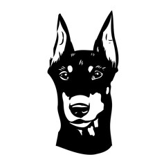 Doberman, dog, black and white vector illustration. Portrait. The head of a domestic animal. Tattoo. Clipart, laser cutting. Stock image isolated on white background.