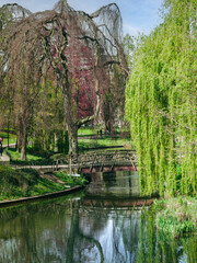 Fototapeta na wymiar A park with a bridge and trees in Nijmegen