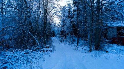 snow covered forest road Norway