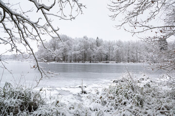Narural frame: winter, iced lake, forest - 564265692