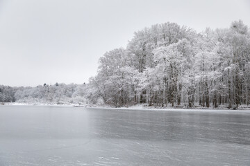 The Willgaiten lake in the winter, Kaliningrad - 564265696