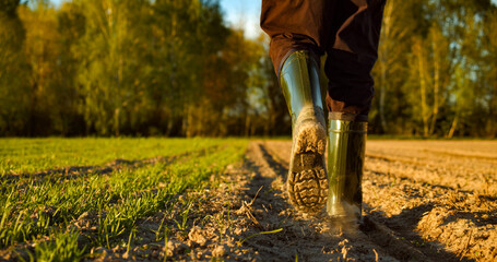 Fototapeta Close-up of a farmer's feet in rubber boots walking down a farmer field  dust rising from shoes. Low angle. One part is sown, the second part is not sown. obraz