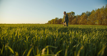 Farmer walks through a young green field during sunset. Adult man farmer walking and checks  his agriculture field. Human walking on agriculture field.   Person walks on high green grass