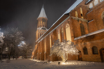 The Cathedral of Kaliningrad in the winter night - 564266035