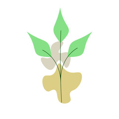 Boho Plant Element