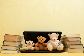 Funny plush bears with books and laptop, difficult studies